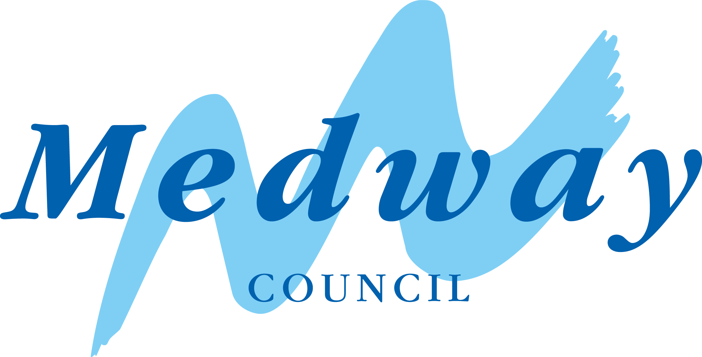 MEDCouncil_png